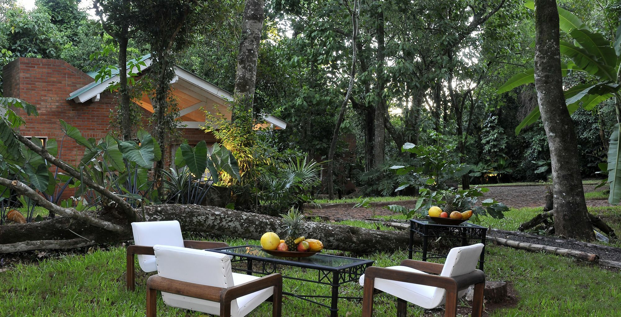 פוארטו איגואסו Raices Amambai Lodges מראה חיצוני תמונה